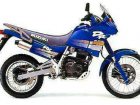 Suzuki DR 650RS